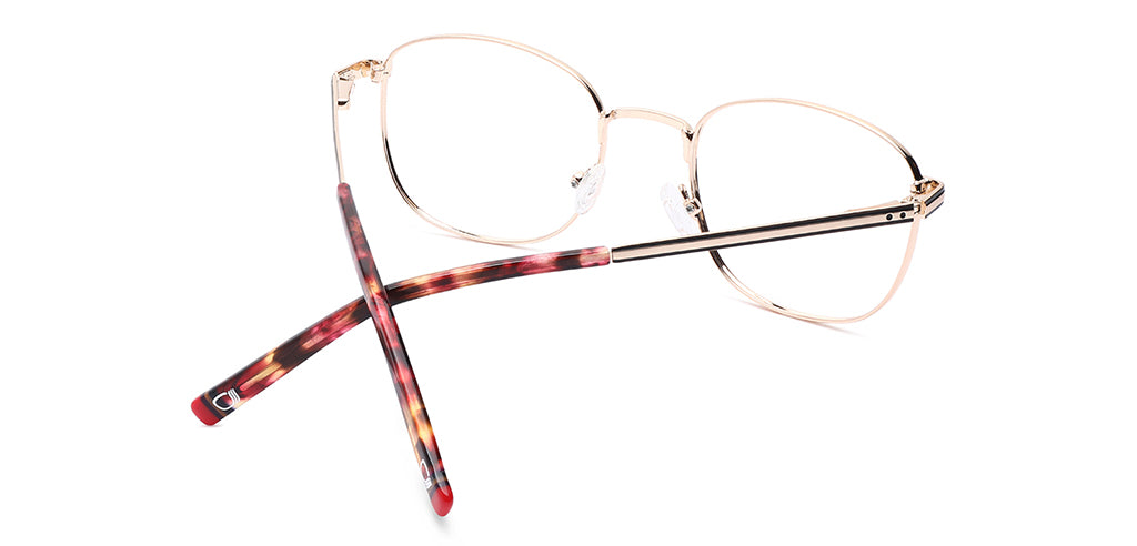 Brown_Matte_with_Gold