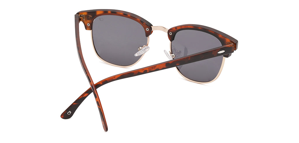 Brown_Demi_with_Grey_Lens