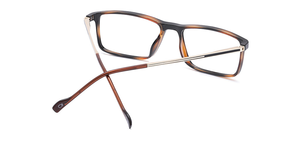 Brown_Demi_with_Gold