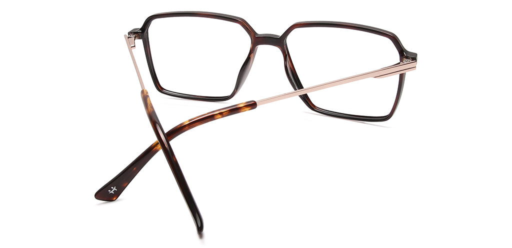 Glossy_Brown_with_Gold