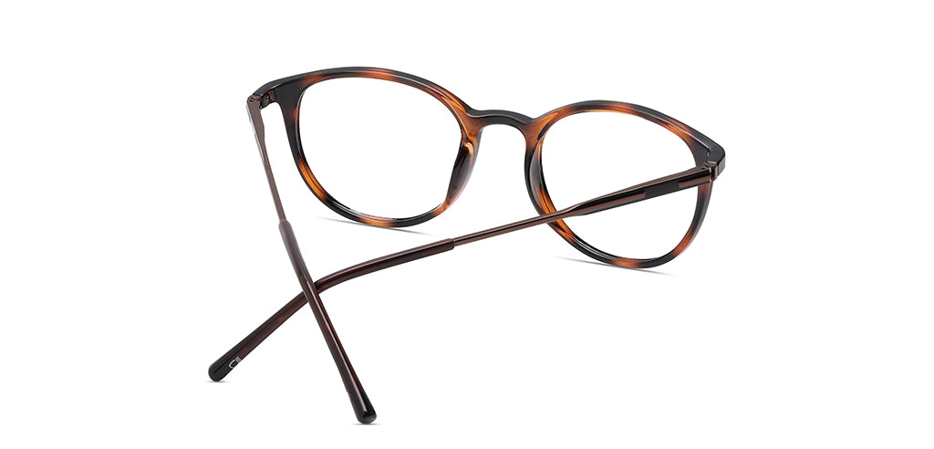 Brown_Tortoise_With_Brown