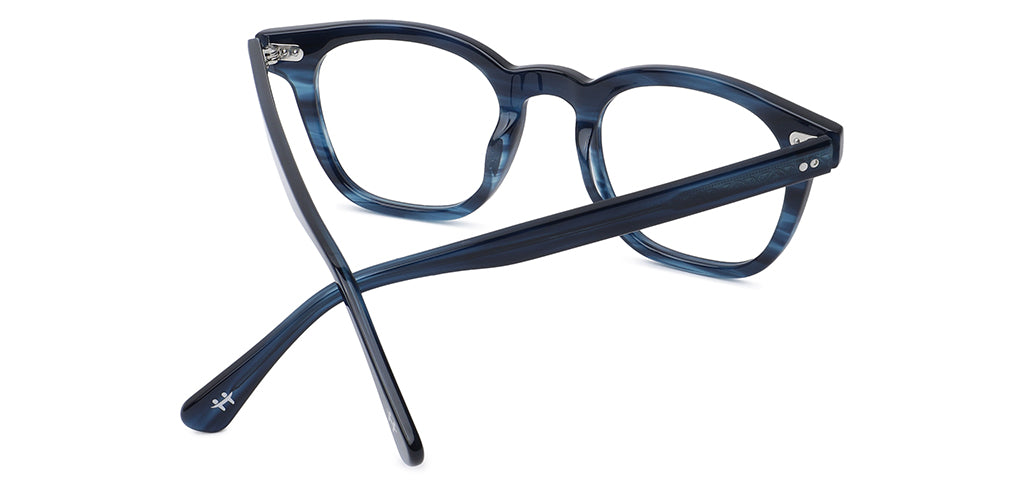 Blue_Tortoise_with_Blue