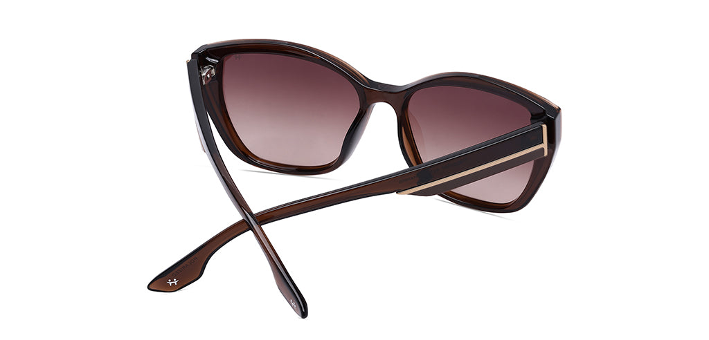 Brown_Transparent_with_Brown_Lens