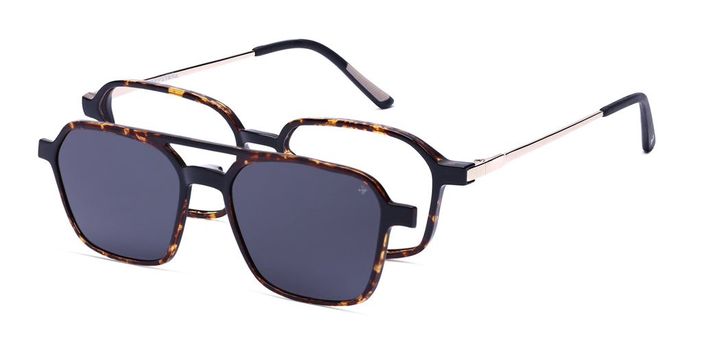 Brown_Demi_with_Gold