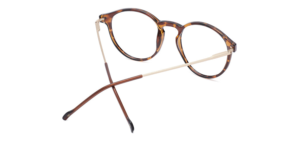 Brown_Demi_with_Gold