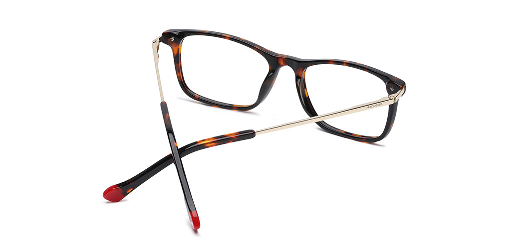 Brown_Tortise_With_Gold