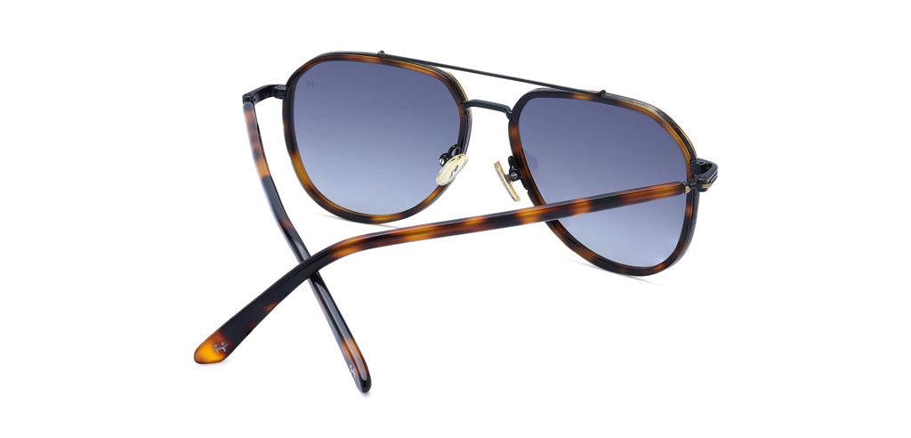 Brown_Demi_with_Grey_Lens