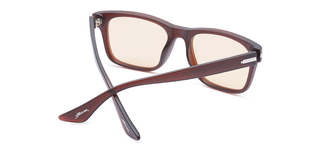 Brown_Matte_with_Brown_Lens