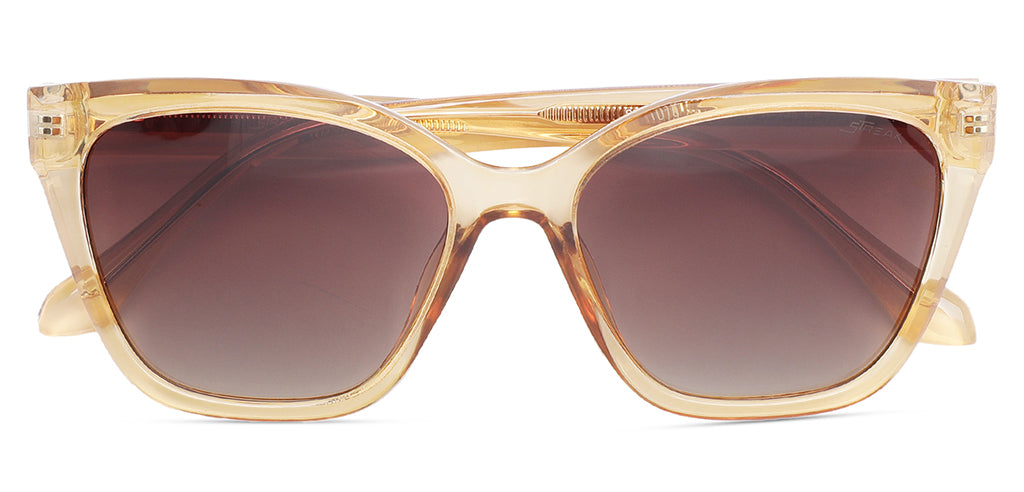 Brown_Transparent_with_Brown_Lens