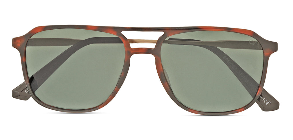 Brown_Demi_with_Green_Lens