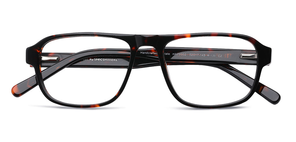 Brown_Tortise_With_Tortise