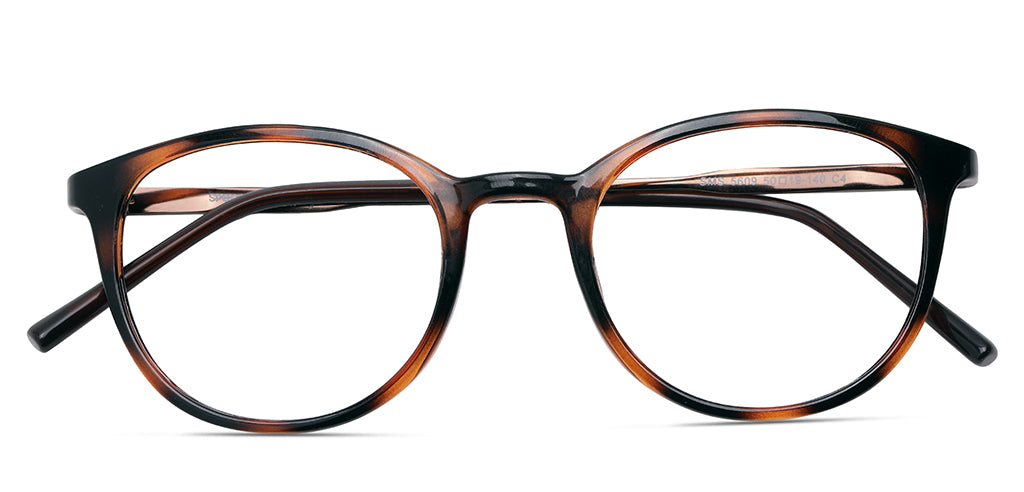 Brown_Tortoise_With_Brown