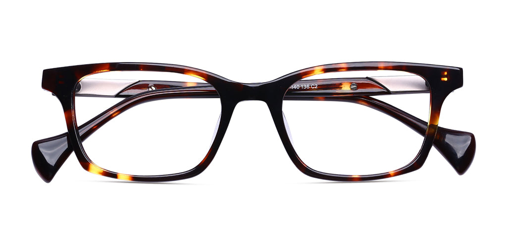 Brown_Demi_with_Gunmetal