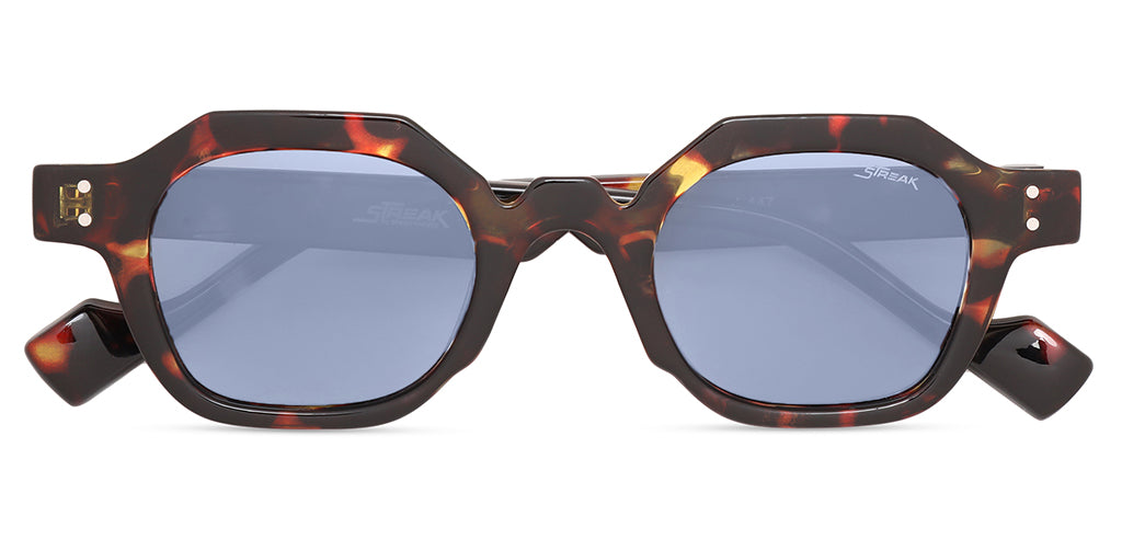 Brown_Demi_with_Grey_Lens