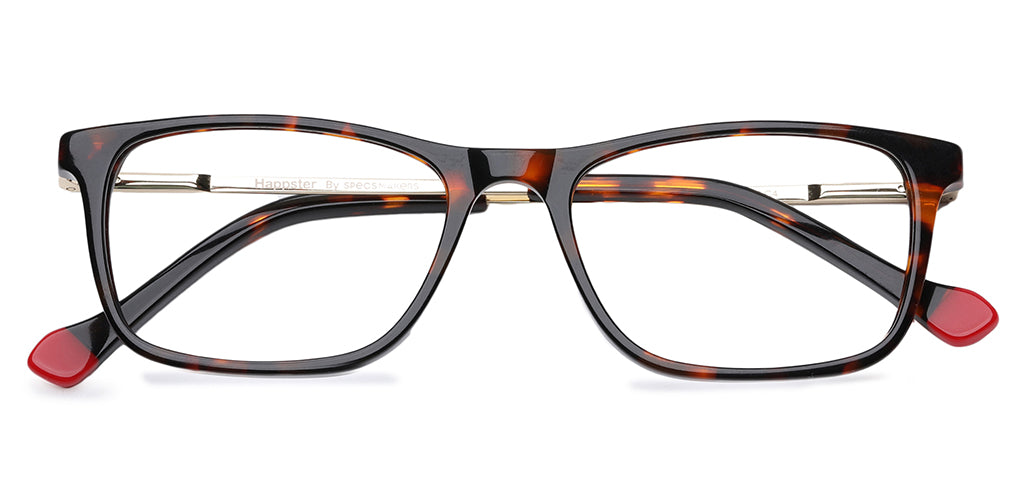 Brown_Tortise_With_Gold