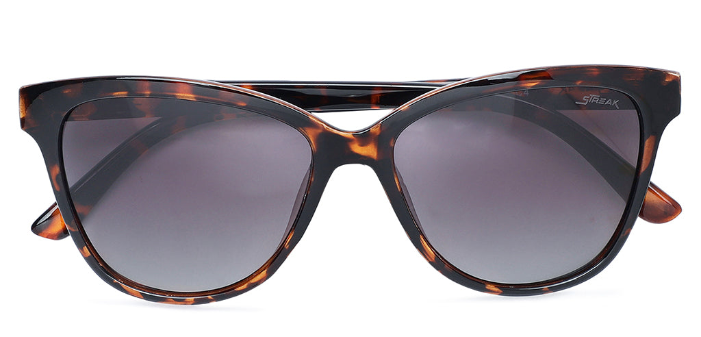 Brown_Demi_with_Grey_Lens