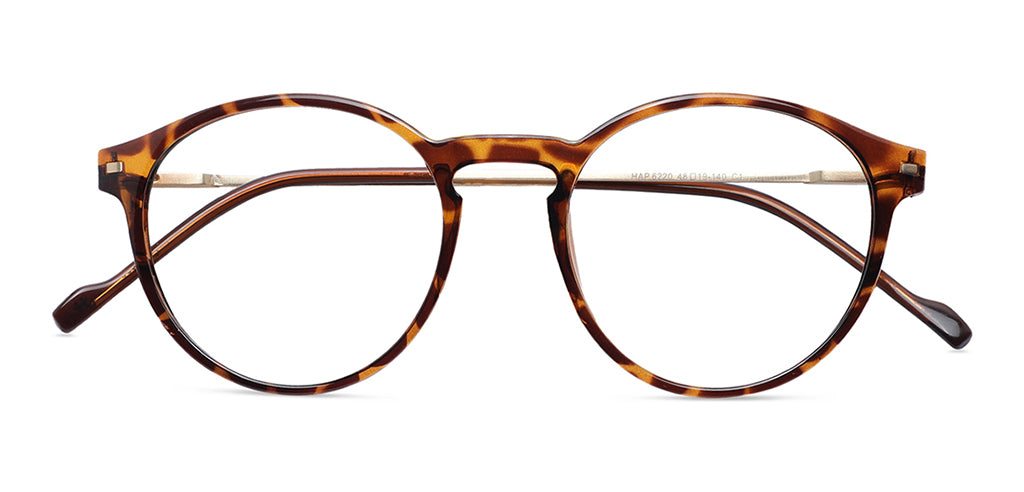 Brown_Demi_with_Gold