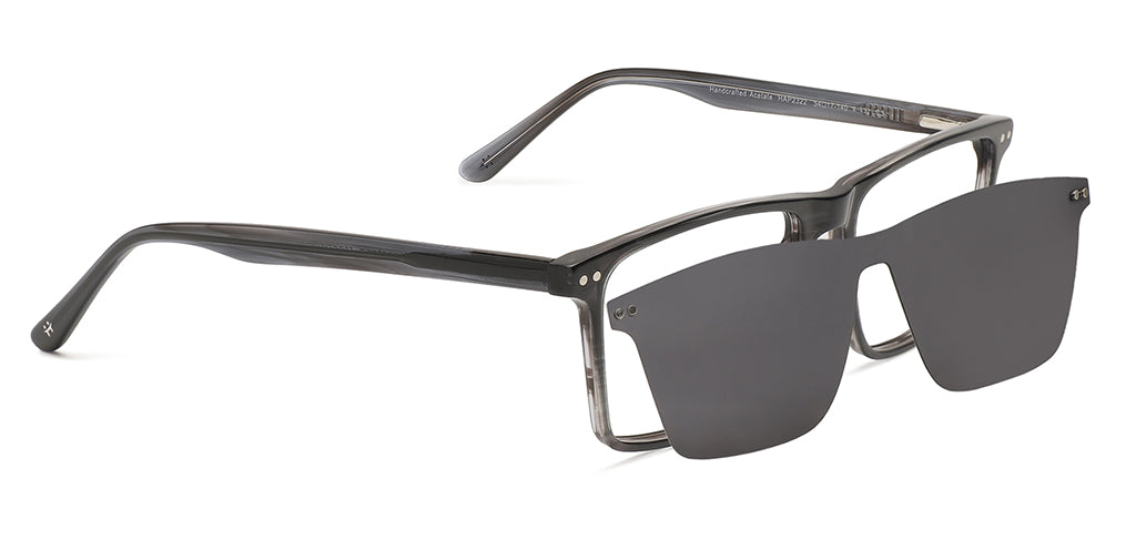 Grey_tortoise_with_grey