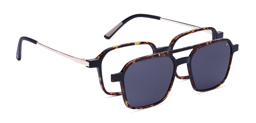 Brown_Demi_with_Gold