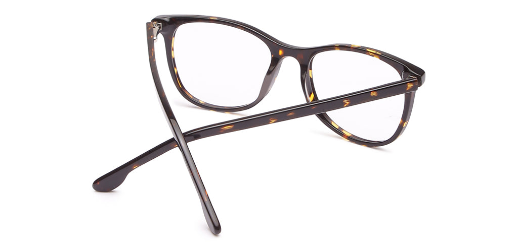 Glossy_Brown_With_Tortoise