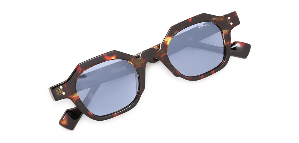 Brown_Demi_with_Grey_Lens