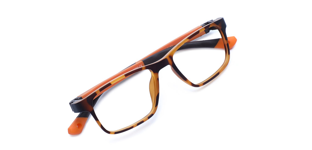 Brown_Demi_with_Orange