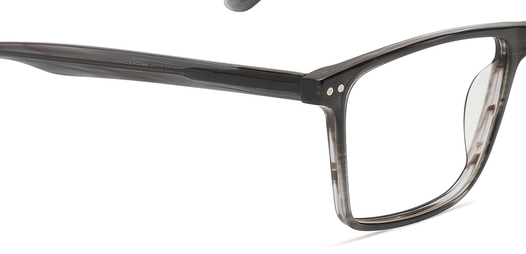 Grey_tortoise_with_grey