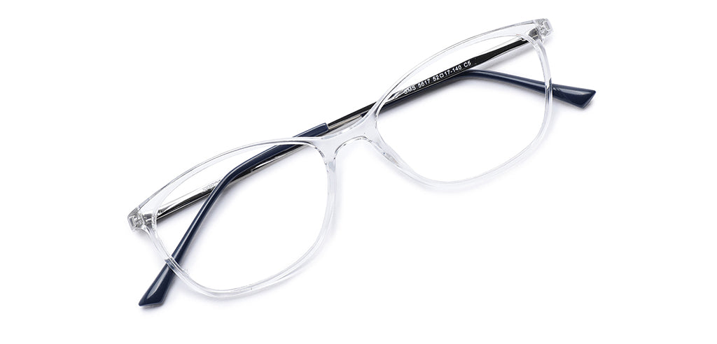 White_Transparent_with_Silver