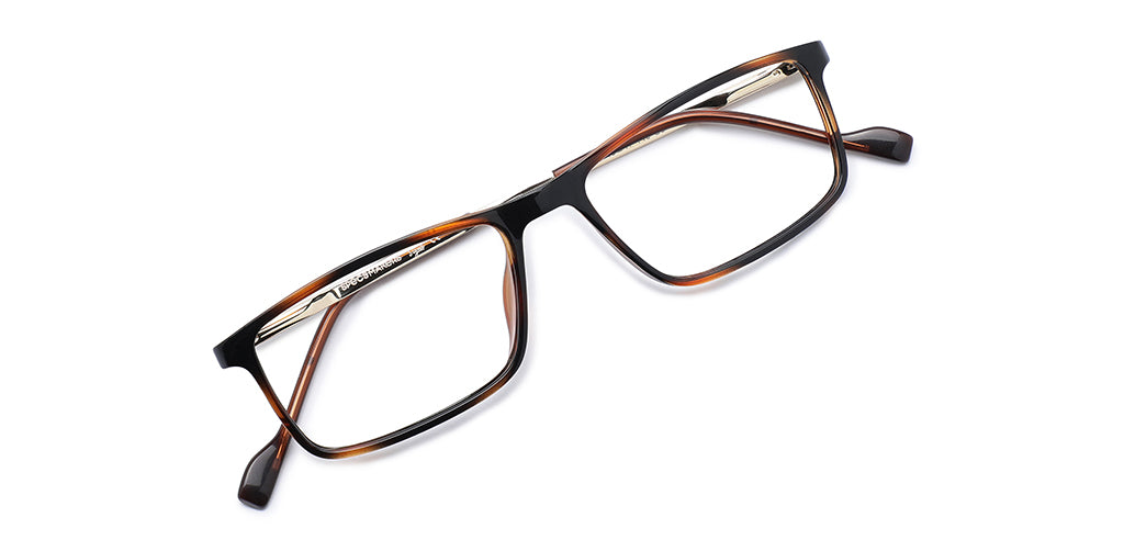 Brown_Demi_with_Gold