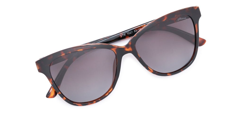 Brown_Demi_with_Grey_Lens