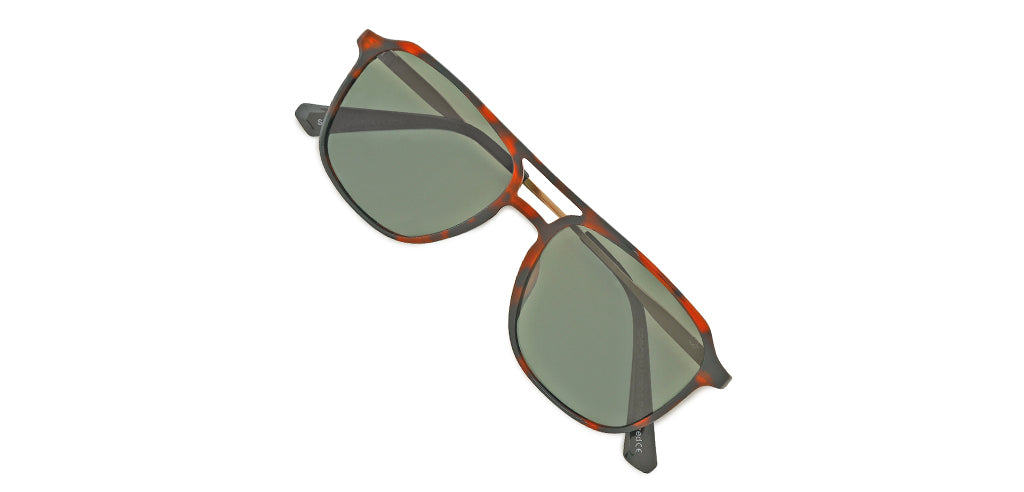 Brown_Demi_with_Green_Lens