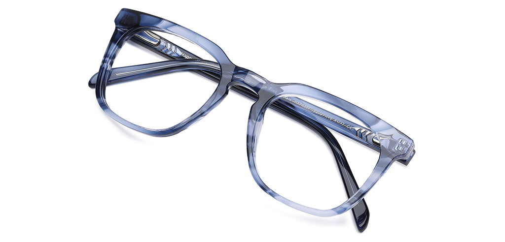 Blue_Tortise_With_Blue