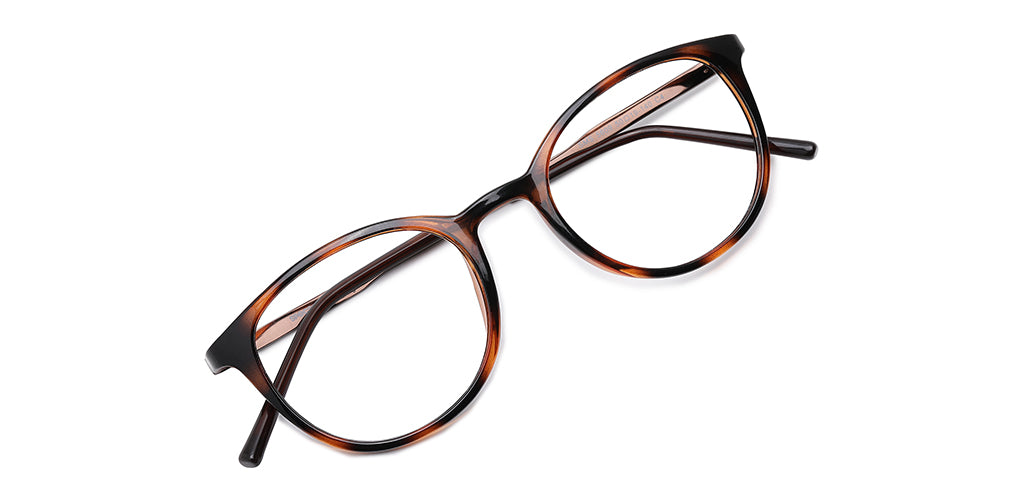 Brown_Tortoise_With_Brown