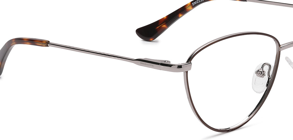 Brown_Matte_with_Silver