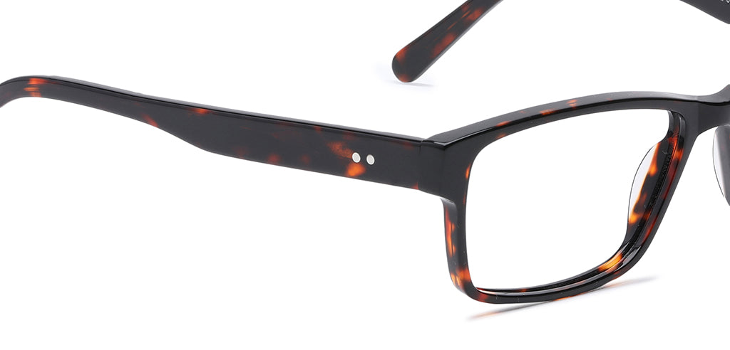 Brown_Tortise_With_Tortise