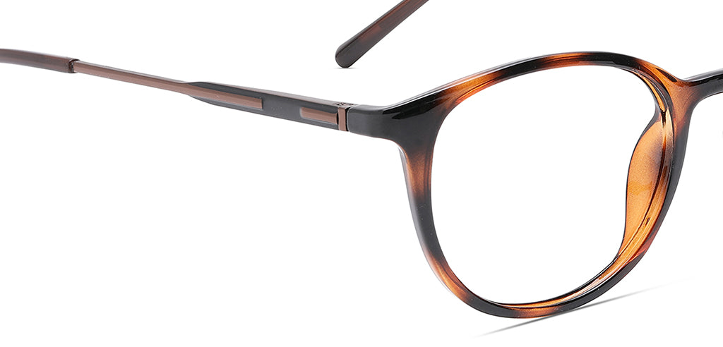 Brown_Tortoise_With_Brown