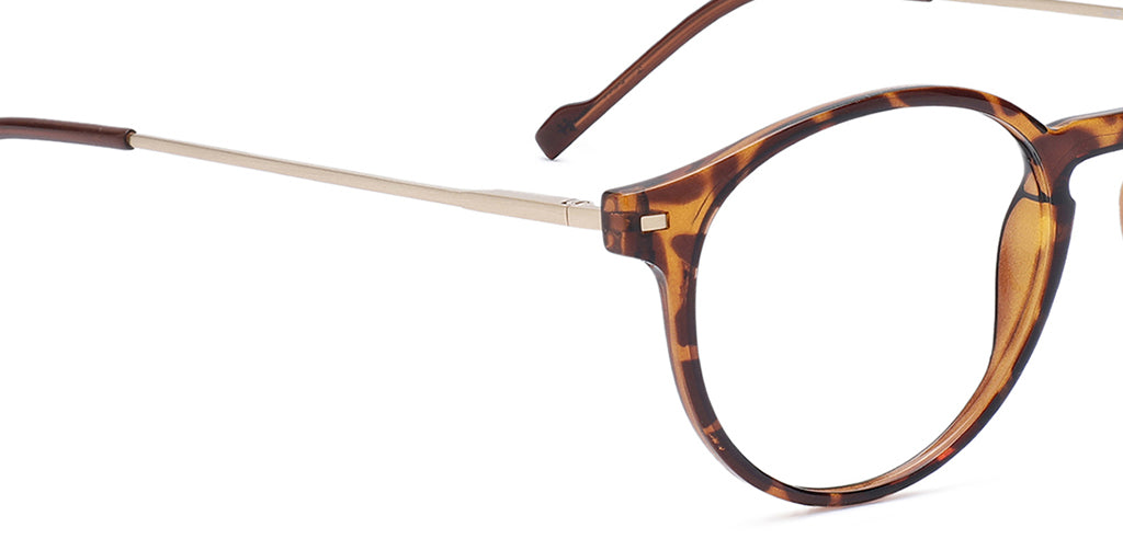 Brown_Demi_with_Gold