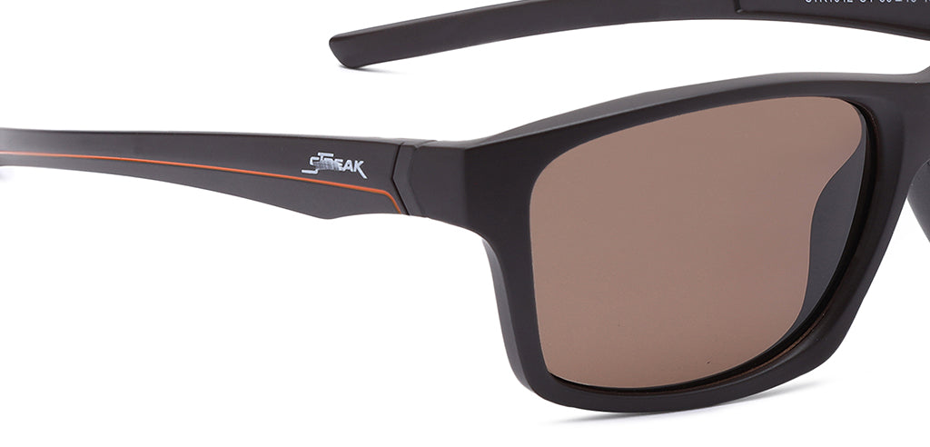 Brown_Matte_with_Brown_Lens