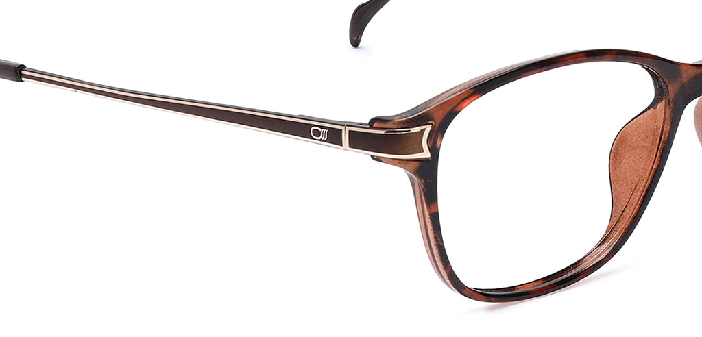 Brown_Demi_with_Brown