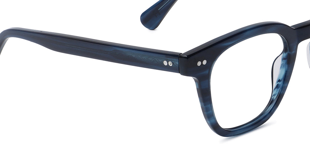 Blue_Tortoise_with_Blue