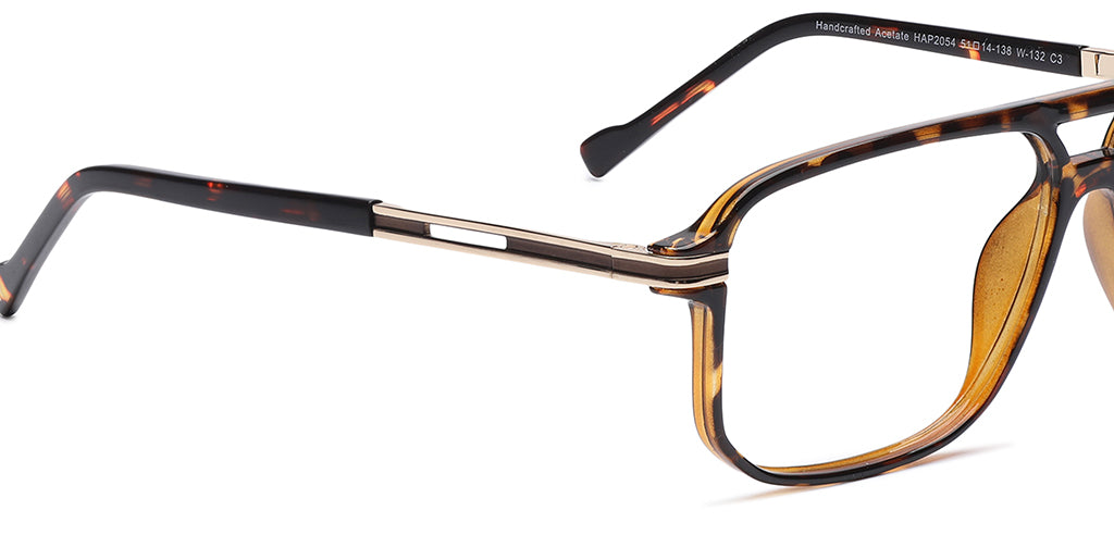 Brown_Tortise_With_Gold