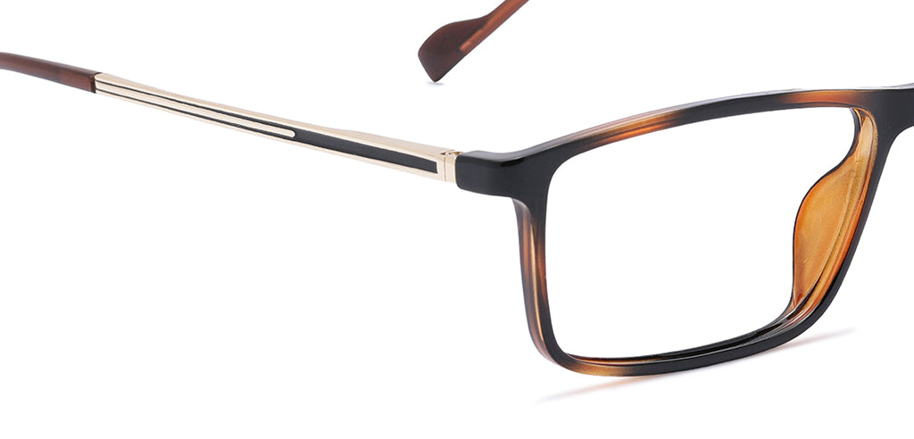 Brown_Demi_with_Gold