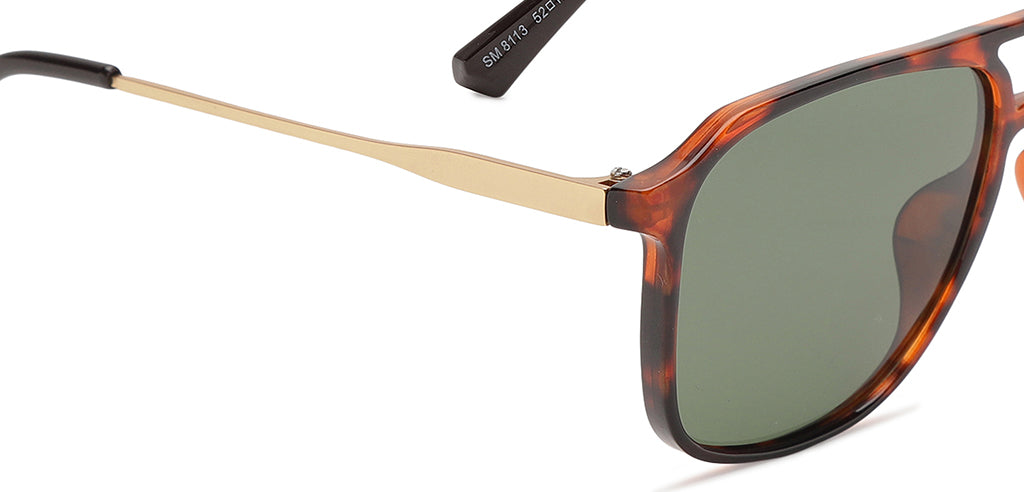 Brown_Demi_with_Green_Lens