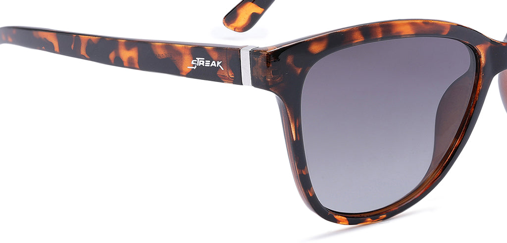 Brown_Demi_with_Grey_Lens