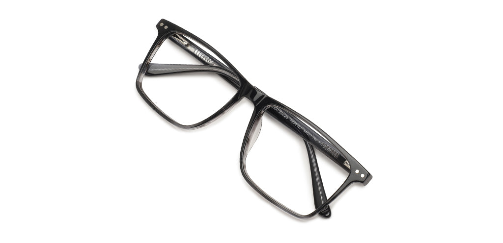 Grey_tortoise_with_grey