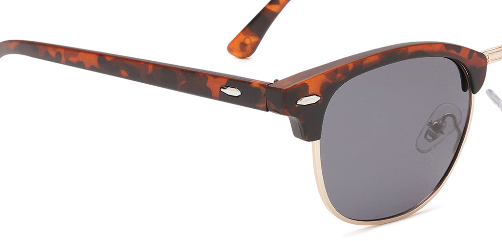 Brown_Demi_with_Grey_Lens