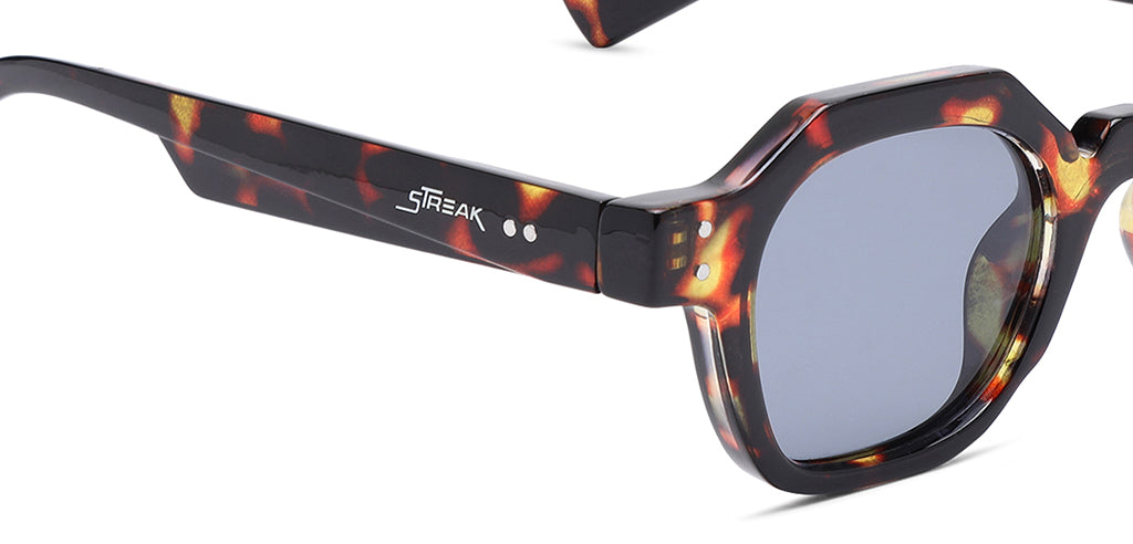 Brown_Demi_with_Grey_Lens