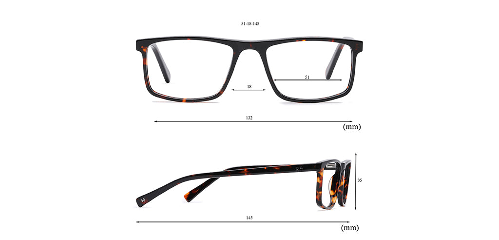 Brown_Tortise_With_Tortise