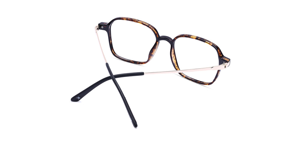 Brown_Demi_with_Gold