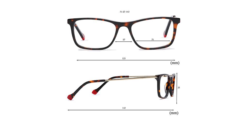 Brown_Tortise_With_Gold